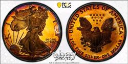 2004 W Proof American Silver Eagle Ase Pcgs At Unc Detail Qc Rainbow