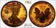 2004 W Proof American Silver Eagle Ase Pcgs At Unc Detail Qc Rainbow