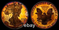 2004 W Proof American Silver Eagle Ase Pcgs At Unc Detail Qc Rainbow