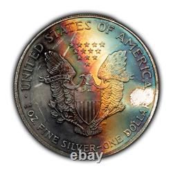 2005 1 oz Silver American Eagle PQ Terminal Rainbow Rim Toning BU E3376