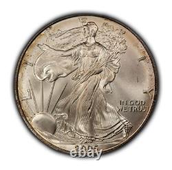2005 1 oz Silver American Eagle PQ Terminal Rainbow Rim Toning BU E3376