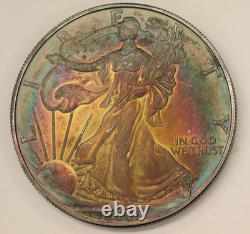 2005 1 oz Silver American Eagle Subtle Violet Rim Toning BU
