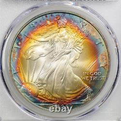 2005 1oz Silver American Eagle UNC Detail Questionable Color PCGS 56949952