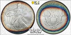 2005 MS69 American Silver Eagle Rainbow Toned PCGS Trueview