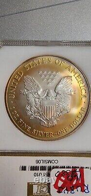 2006 PCI Toned American Silver Eagle Bullseye Monster. 999