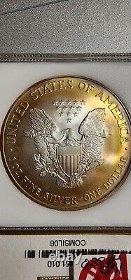 2006 PCI Toned American Silver Eagle Bullseye Monster. 999