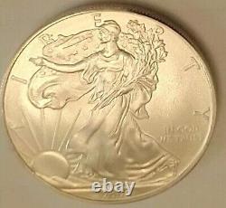 2007 & 2009 Silver American Eagles Uncertified