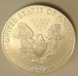 2007 & 2009 Silver American Eagles Uncertified