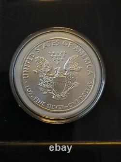 2008 Silver American Eagle. 1oz Silver. BU Condition. Lot Of 5 In Capsule