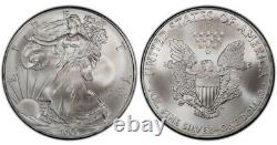 2009 American Eagle 1 oz. 999 fine Silver Bullion Roll / Half Tube of 10 coins