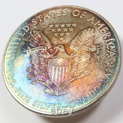2010 RAINBOW TONED Silver American Eagle US 1 oz SAE Coin $1 #44321