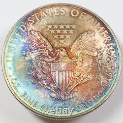 2010 RAINBOW TONED Silver American Eagle US 1 oz SAE Coin $1 #44321