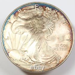 2010 RAINBOW TONED Silver American Eagle US 1 oz SAE Coin $1 #44321