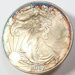 2010 RAINBOW TONED Silver American Eagle US 1 oz SAE Coin $1 #44321