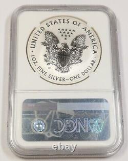 2013 W NGC REVERSE PF69 Silver American Eagle 1 oz SAE $1 US Coin #41741A