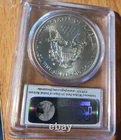 2015 W Burnished Silver Eagle Pcgs Sp70 Flag First Strike Label #32187814