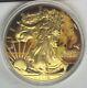 2016 NUCLEAR EAGLE 1 OZ. 999 SILVER AMERICAN EAGLE 24K #207 of 500 MINTED