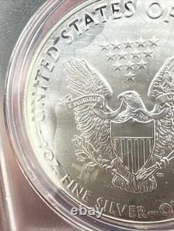 2017 American Silver Eagle Coin MINT ERROR STRUCK THROUGH GREASE ANACS