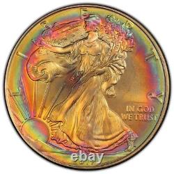 2017 American Silver Eagle Rainbow Toned Neon Color Target Toning Electric Coin