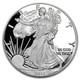 2018-S 1 oz Proof American Silver Eagle (withBox & COA)