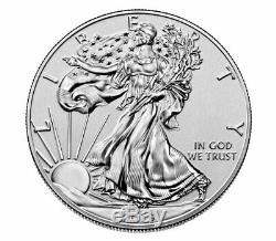 2019 S 1 oz Silver American Eagle Enhanced Reverse Proof Gem $1 OGP SKU60027