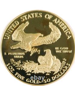 2020 1 oz american gold eagle coin