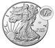 2020 End of World War II 75th Anniversary American Eagle V75 Silver SHIPPED