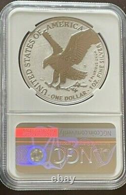 2021 S, Reverse Proof Silver Eagle From Designer Set, Type 2, Ngc Rev Pf 70