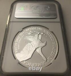 2021 S W REVERSE PROOF SILVER AMERICAN EAGLE two coin DESIGNER SET NGC PF69