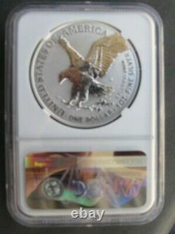 2021 s reverse proof silver eagle type 2 NGC PF 69