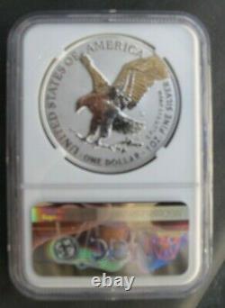 2021 s reverse proof silver eagle type 2 NGC PF 69