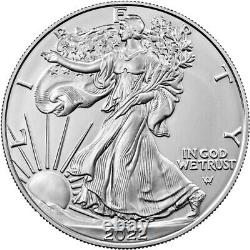 2022 American Silver Eagle Tube (MintSealed, 20 Coins, BU)