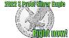2022 San Fransisco S Proof American Silver Eagle This Is What S Happening Right Now