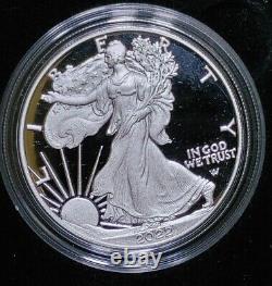 2022 US MINT Proof American Silver Eagle W & S OGP In Hand SOLD OUT 2 Coin Set