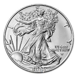 2023 Lot of (10) 1 Oz American Eagle Silver Bullion Coins Brilliant Uncirculat