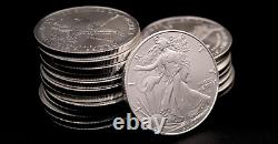 2023 Lot of (10) 1 Oz American Eagle Silver Bullion Coins Brilliant Uncirculated