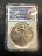 2024 (P) American Silver Eagle NGC MS 70 Star Privy 1 oz silver 8 Era Nice Gang