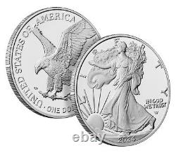 2024 W American Silver Proof Eagle $1 Coin, US Mint Proof, Walking Liberty Desig