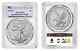 2024 W Burnished Silver Eagle Pcgs Sp70 Advanced Release Flag Label Rarity