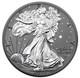 2025 $1 1 oz Silver Eagle Night Sky Hologram Ruthenium Ennobled