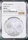 2025 p silver eagle with eagle privy ngc ms70 brown label presale
