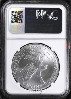 2025 p silver eagle with eagle privy ngc ms70 brown label presale