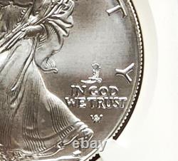 2025 p silver eagle with eagle privy ngc ms70 brown label presale