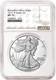 2025 w burnished silver eagle ngc ms70 brown label pre-sale, Est. Ship 5/31