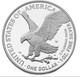 250th Anniversary US Army American Eagle One Ounce Silver Proof Coin PRE ORDER