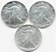 3 Early Date Us Silver Eagles 1987 1989 1992