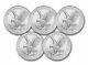 5X 2022 1 oz American Silver Eagle Coin Uncertified