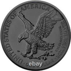 American Eagle 1 oz silver coin multi holo 2024