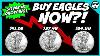 American Silver Eagle Coins Prices Dropping Should You Buy Them Now
