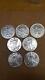 American silver eagle lot of 7 coins